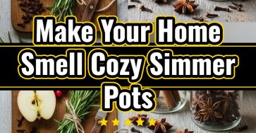 Cozy Home Simmer Pots Best Smelling Holiday Scent Inspiration