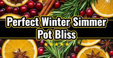 Cranberry Orange Simmer Pot: Easy Homemade Stovetop Potpourri Recipe