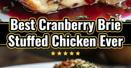 Elegant Cranberry Brie Stuffed Chicken for Fancy December Dinners