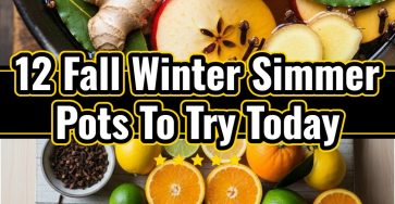 Seasonal Fall Winter Simmer Pot Recipes for a Cozy Home